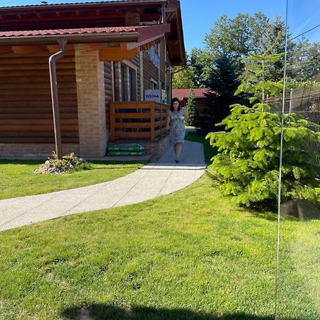 Villa Diva Budureasa Eksteriør bilde