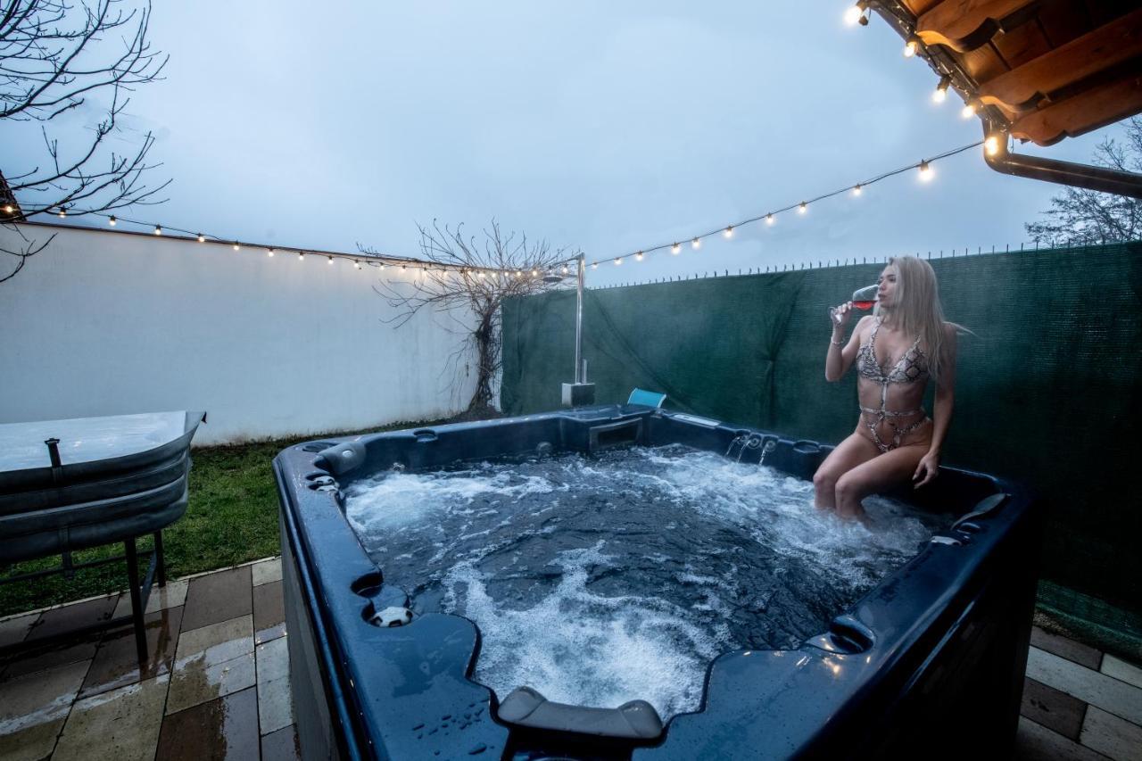 Villa Diva Budureasa Eksteriør bilde