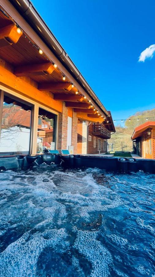Villa Diva Budureasa Eksteriør bilde