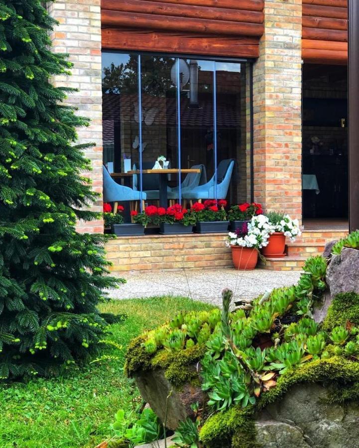 Villa Diva Budureasa Eksteriør bilde